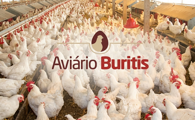 Aviário Buritis